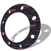 TEMAGRAPH Fi